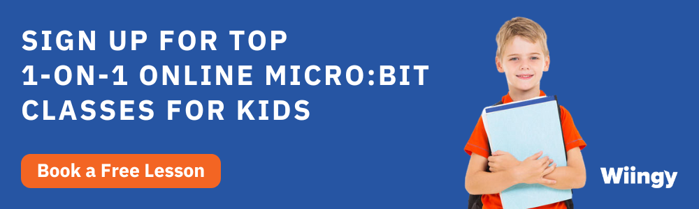 Get 1-on-1 online Microbit classes